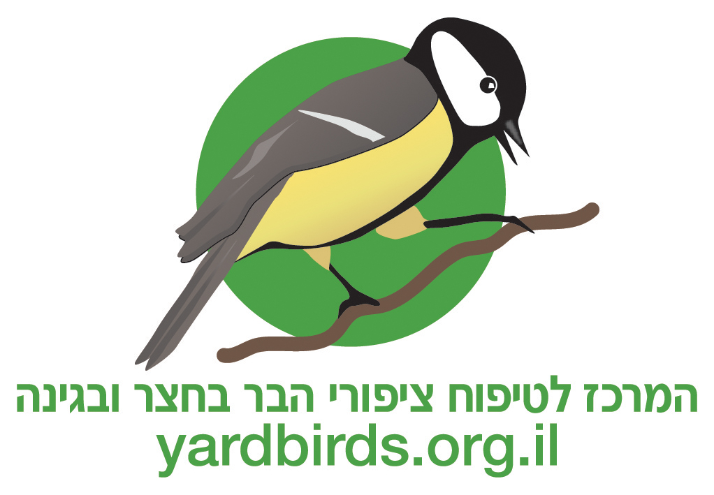 [Image: yardbirdslogo.jpg]